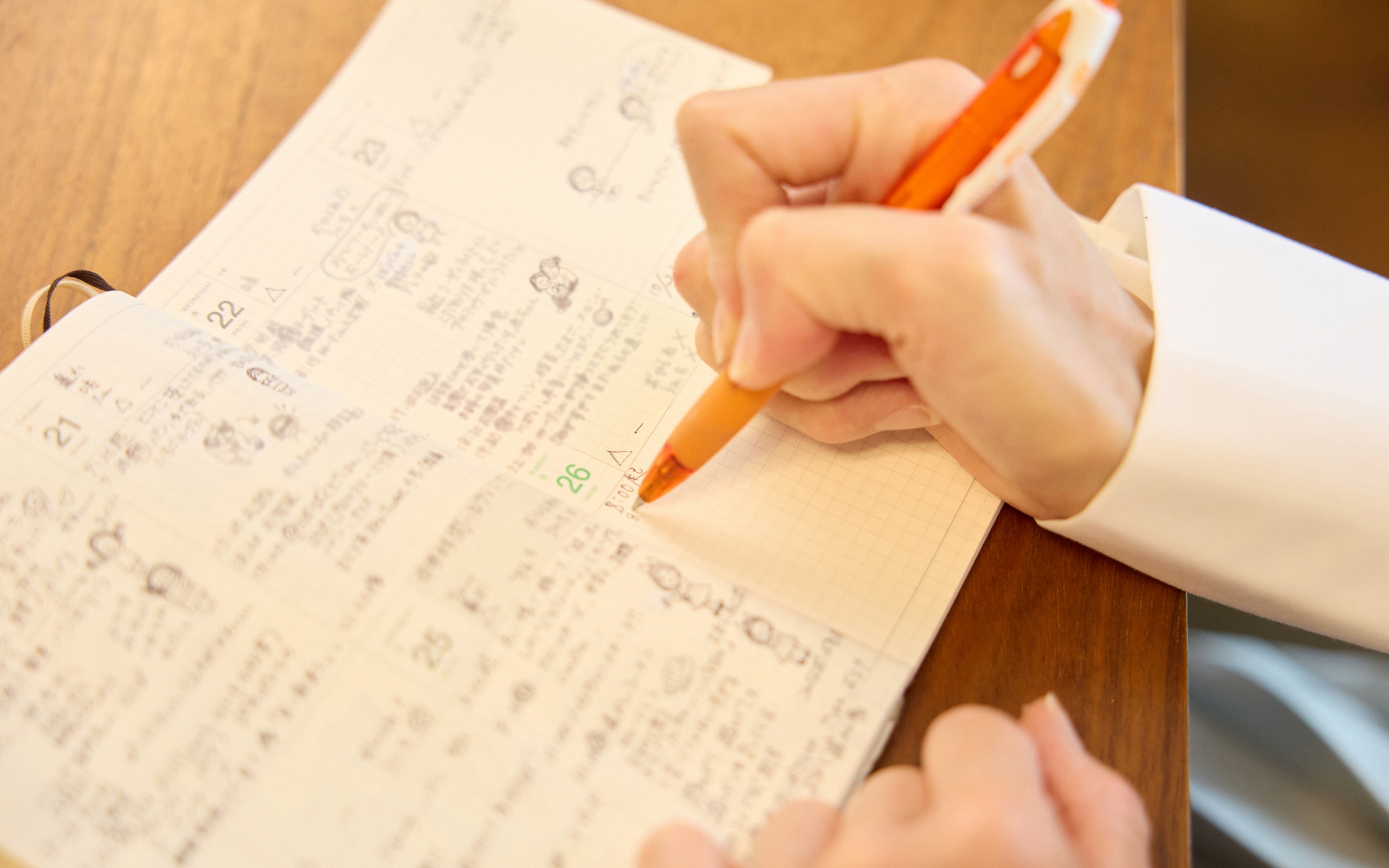 めいちゃんの成長や日々を記録した手帳は3冊目になる